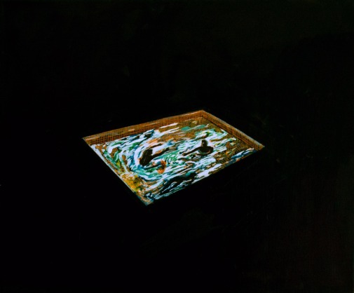 Pool 8, Oil on canvas, 50cm x 60cm, 2009