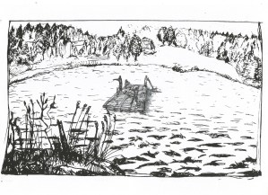 Studie voor een vlot op een meer te Hameënkyrö, inkt en zwarte balpen op papier, 2011